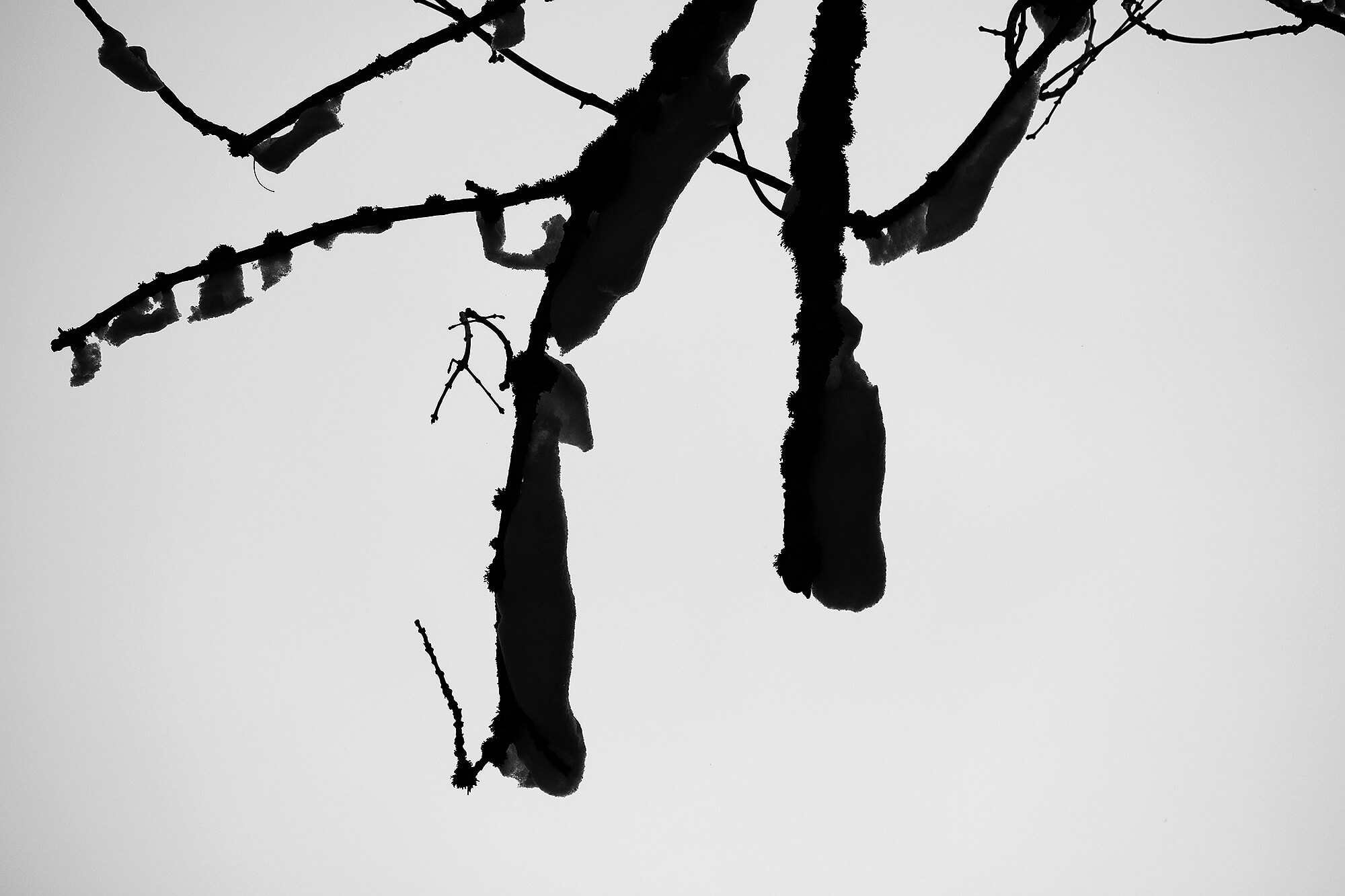 Minimalistische Fotografie 4